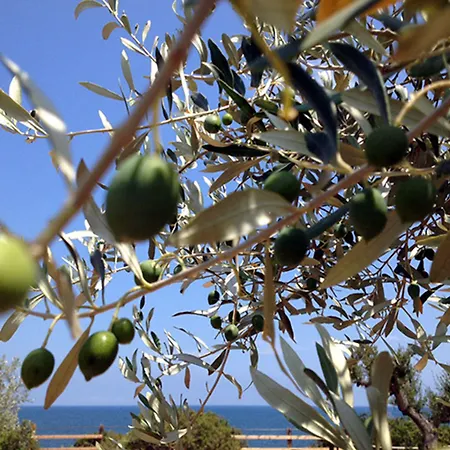 Hotel Fergus Cap Roig L'Ampolla